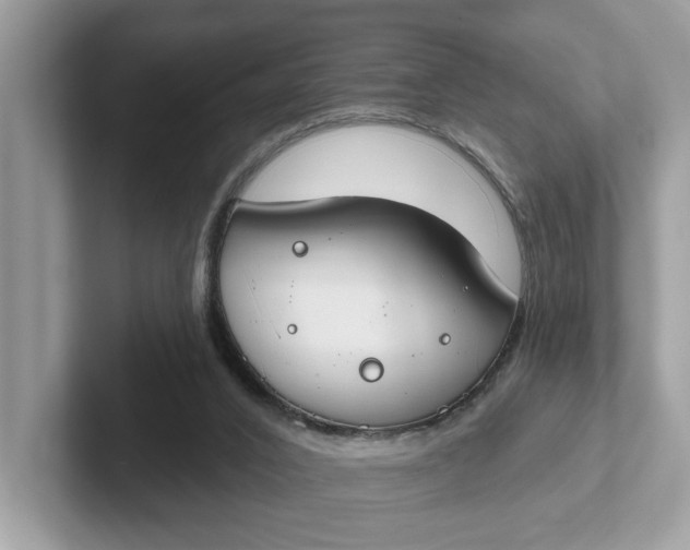 X0000101400016200807211044