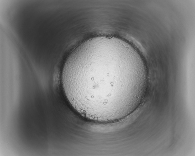 X0000101400017200807211044