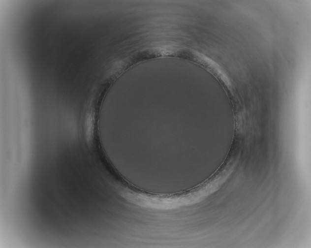 X0000101400018200807211044