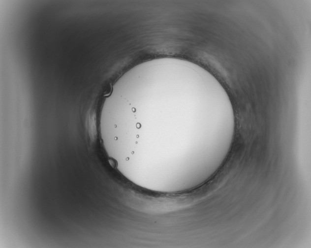 X0000101400020200807211044