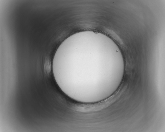 X0000101400021200807211044