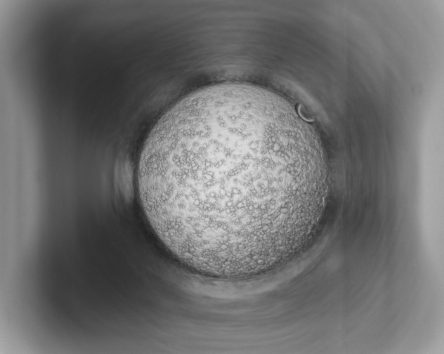 X0000101400022200807211044