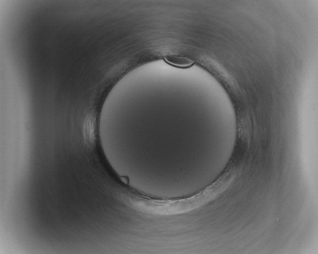 X0000101400023200807211044