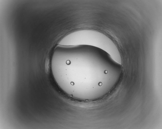 X0000101400024200807211044