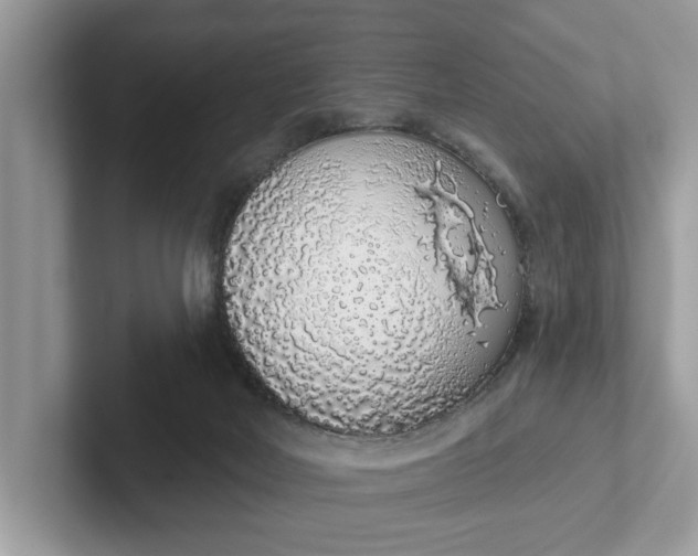 X0000101400026200807211044