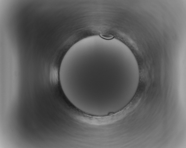 X0000101400027200807211044