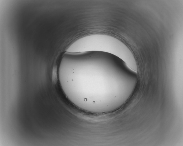 X0000101400028200807211043