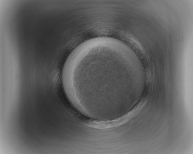 X0000101400029200807211043