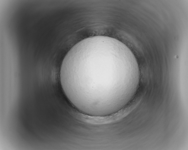 X0000101400034200807211043