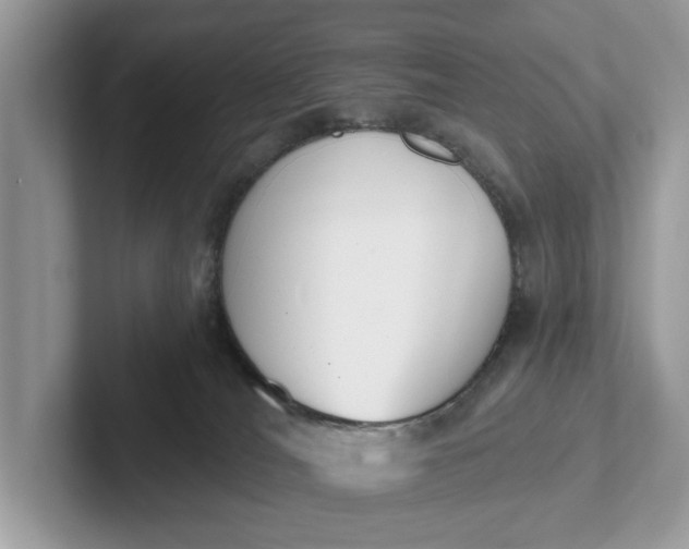 X0000101400036200807211043