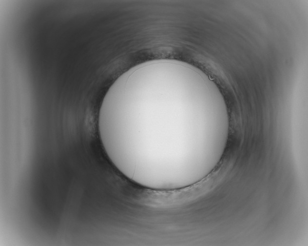 X0000101400037200807211043