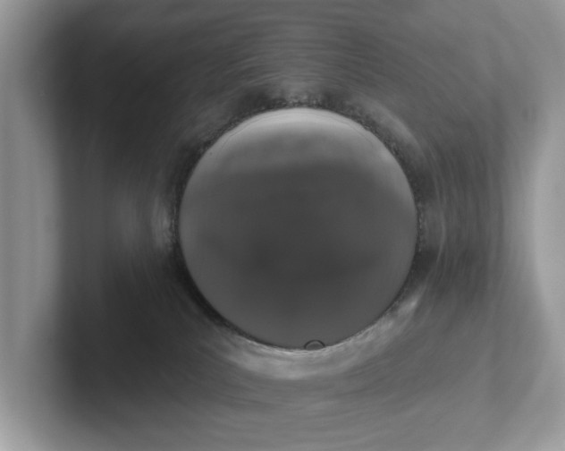 X0000101400039200807211043