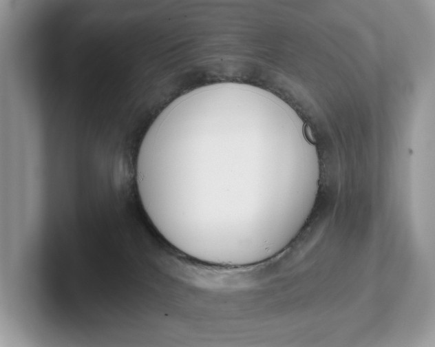 X0000101400040200807211043