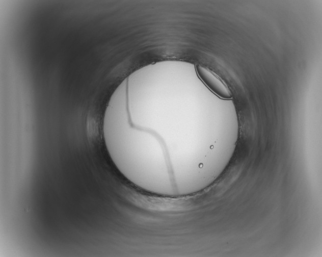 X0000101400044200807211043