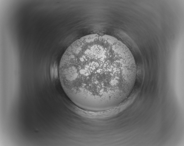 X0000101400046200807211043