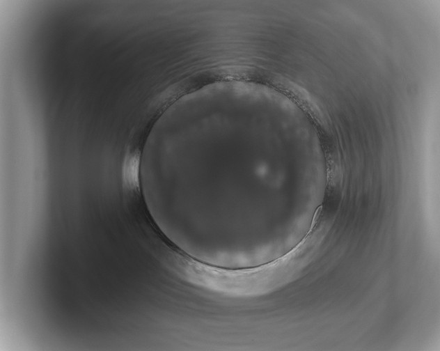 X0000101400047200807211043