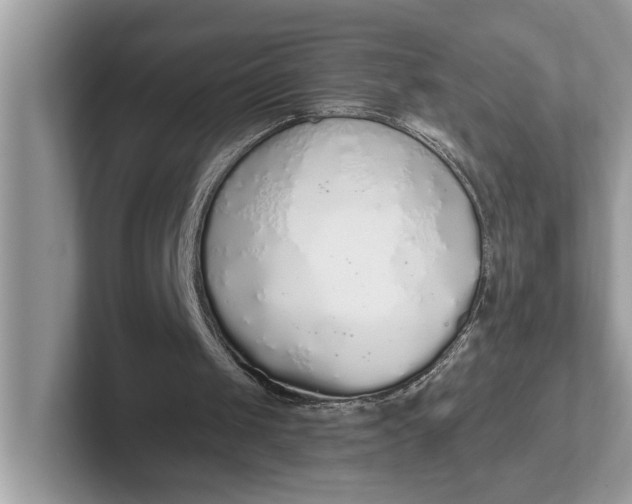 X0000101400049200807211042