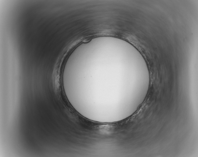 X0000101400050200807211042