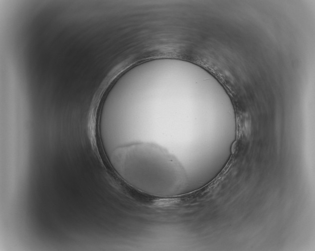 X0000101400051200807211043