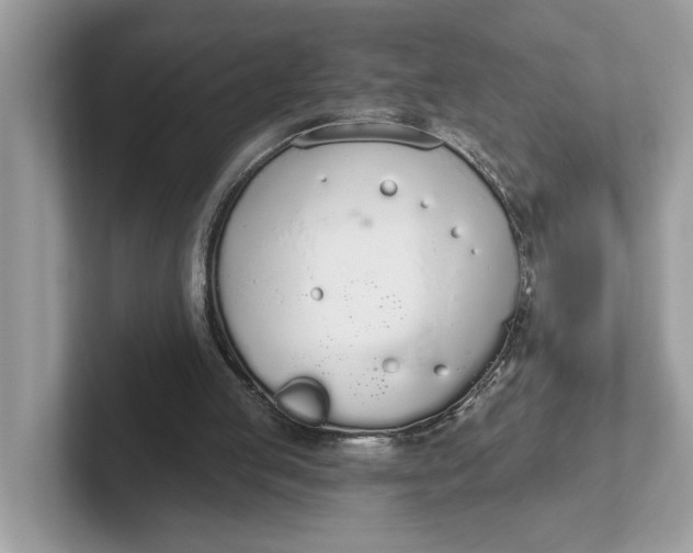 X0000101400053200807211043