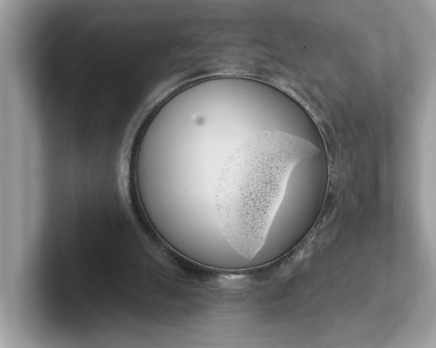 X0000101400055200807211043