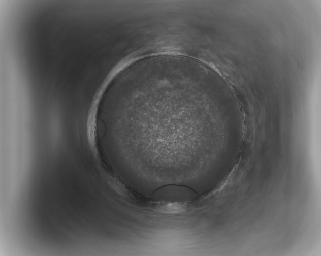 X0000101400056200807211043