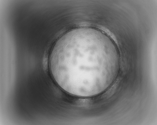 X0000101400057200807211043