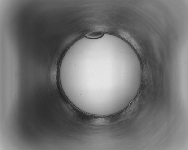 X0000101400058200807211043