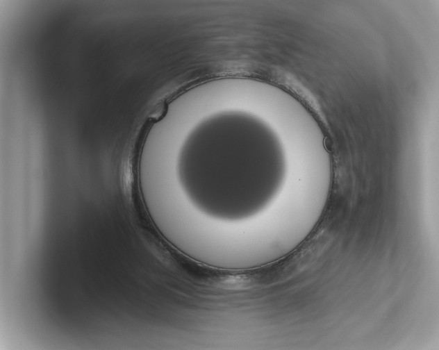 X0000101400059200807211043