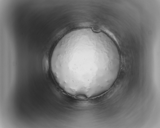 X0000101400061200807211043