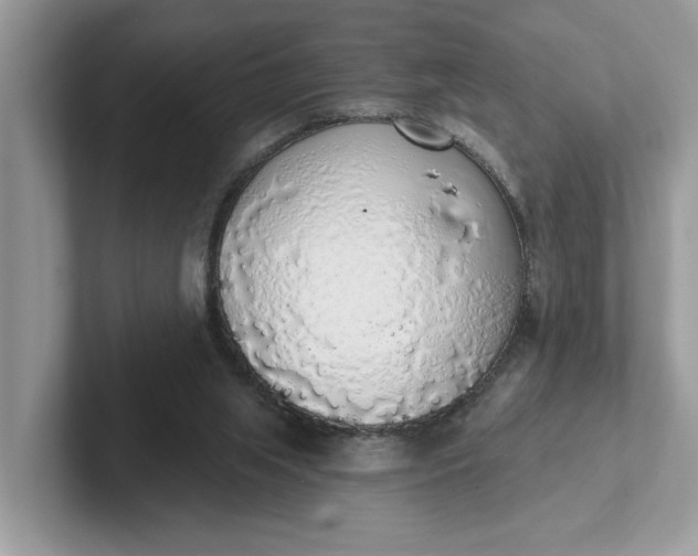 X0000101400063200807211043