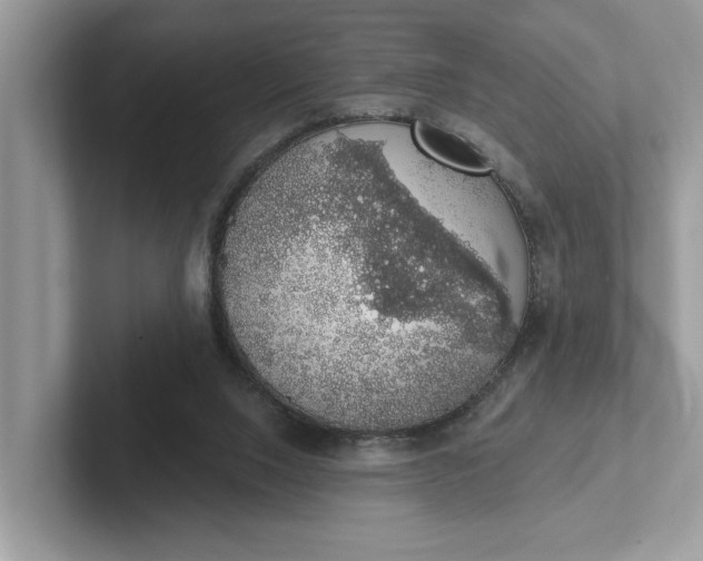 X0000101400064200807211043