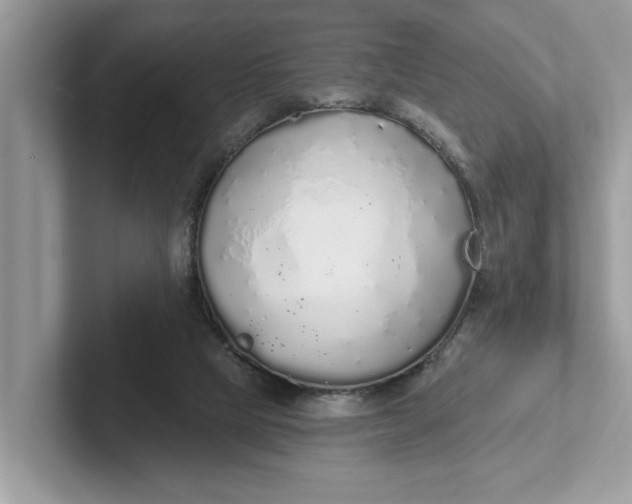 X0000101400065200807211043