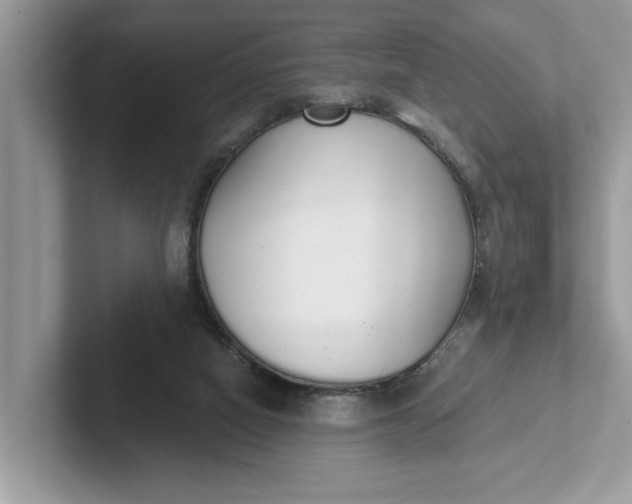 X0000101400066200807211043