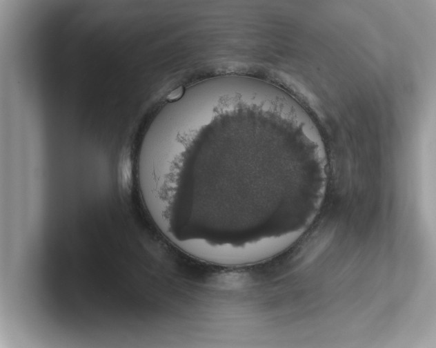 X0000101400067200807211043