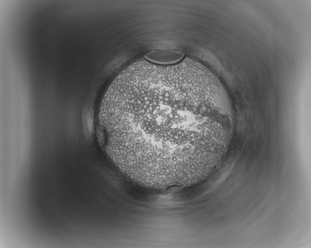 X0000101400068200807211043