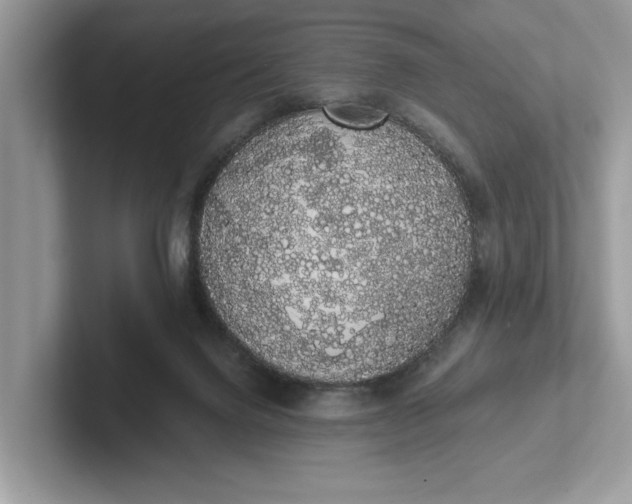 X0000101400072200807211043