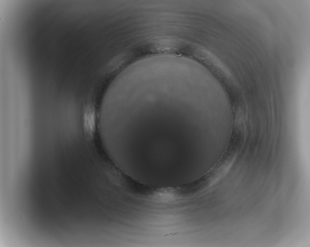 X0000101400076200807211043