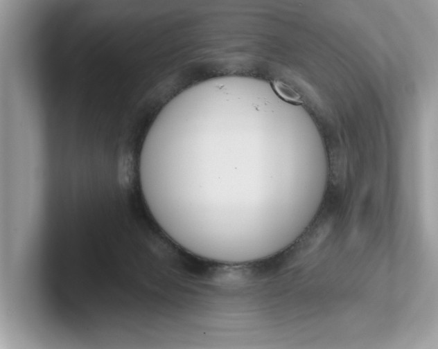 X0000101400077200807211043