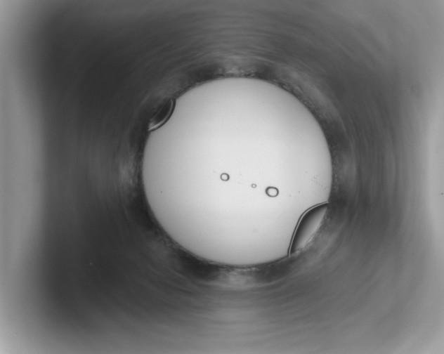 X0000101400078200807211043