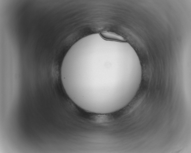 X0000101400085200807211043