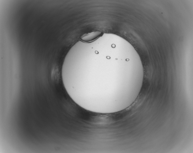 X0000101400086200807211043