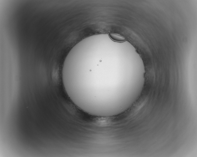 X0000101400088200807211043