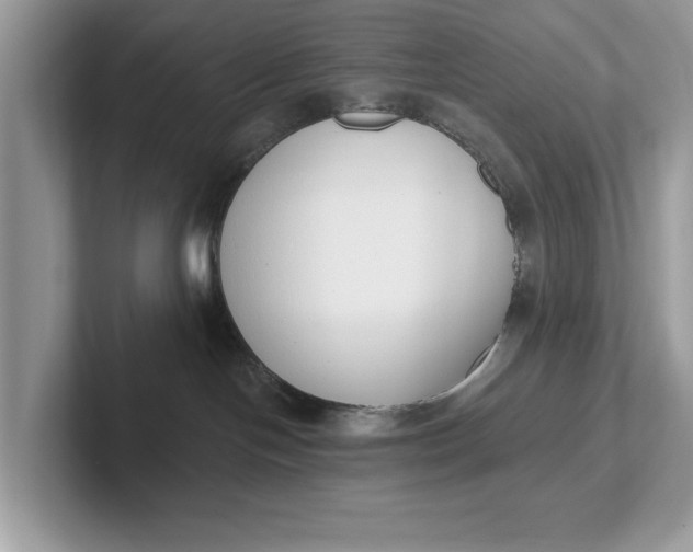 X0000101400094200807211043