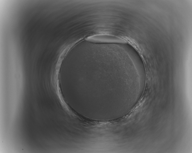 X0000101400097200807211042