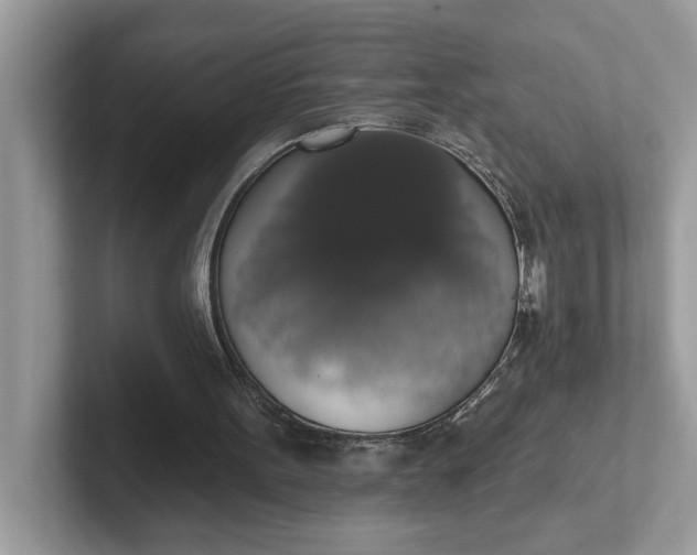 X0000101400099200807211042