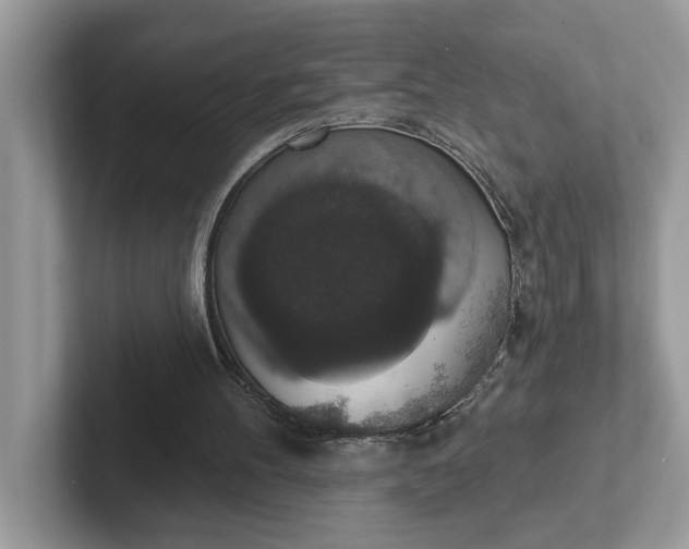 X0000101400100200807211042