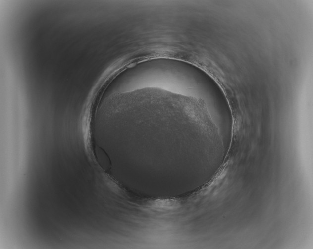 X0000101400101200807211042