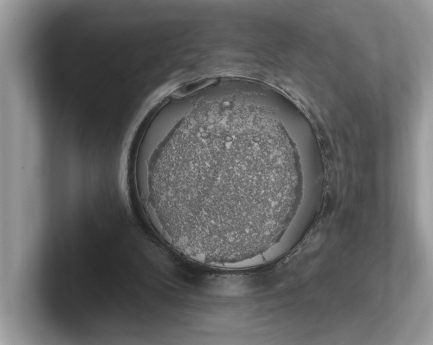 X0000101400104200807211042