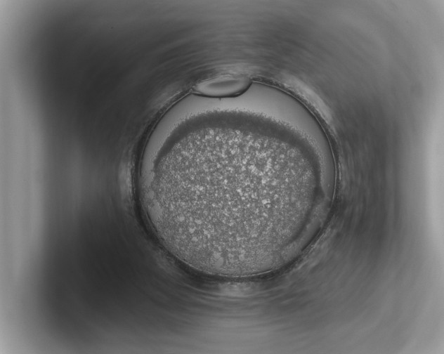 X0000101400105200807211042